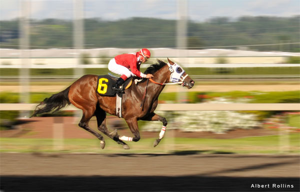 Racing for the Cup by Al Rollins